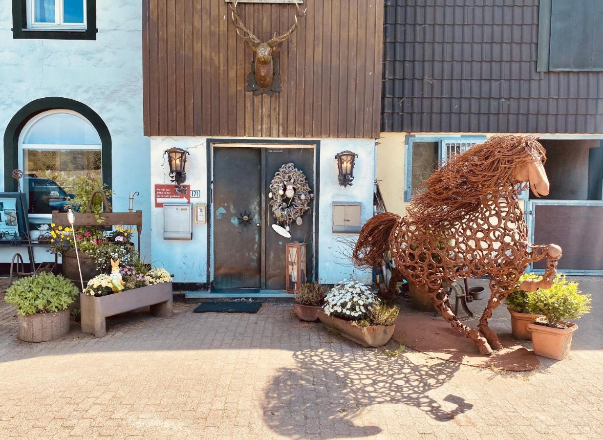 Maisonette - 2 Schlafzimmer - Wohn-Küche - Balkon - Hohes Venn - Monschau - Eifel - Hunde willkommen beim Hof Vierzehnender - Islandpferde Exterior foto