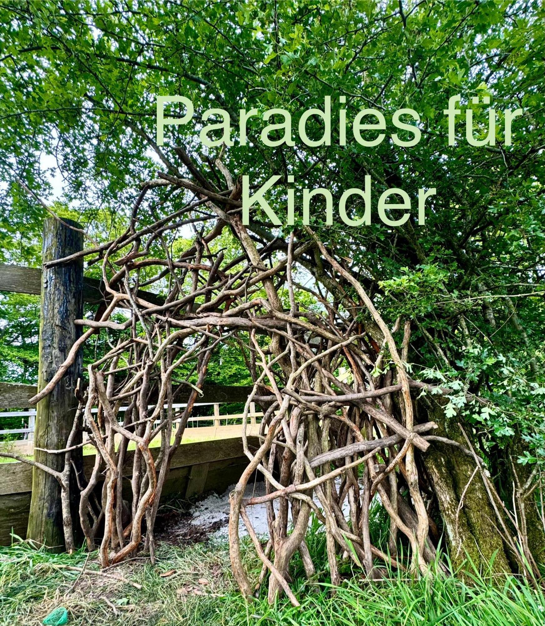 Maisonette - 2 Schlafzimmer - Wohn-Küche - Balkon - Hohes Venn - Monschau - Eifel - Hunde willkommen beim Hof Vierzehnender - Islandpferde Exterior foto