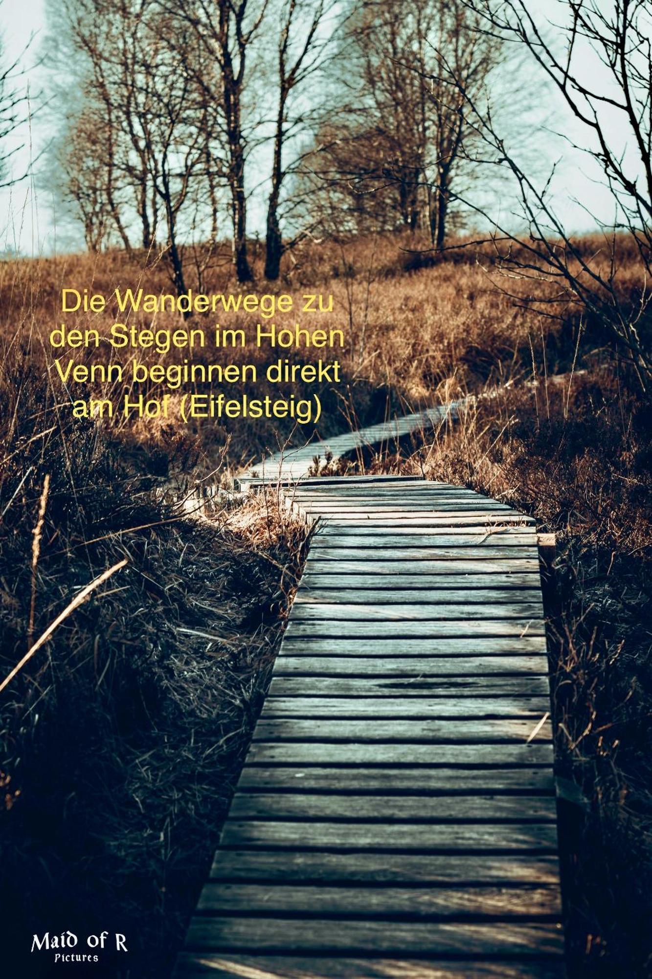 Maisonette - 2 Schlafzimmer - Wohn-Küche - Balkon - Hohes Venn - Monschau - Eifel - Hunde willkommen beim Hof Vierzehnender - Islandpferde Exterior foto